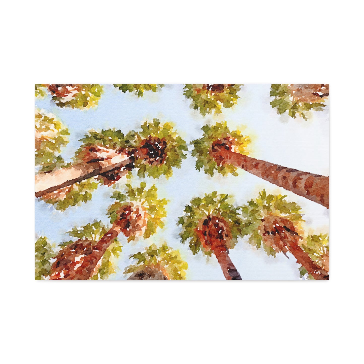 Canvas Stretched Wall Art - Tropical Palm Trees, 30x20