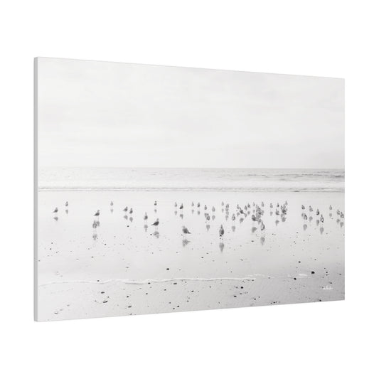 Beach Birds Matte Canvas